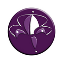 Insignia de Pioneros