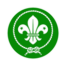 Insignia de Scouts
